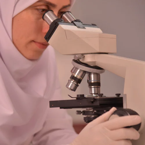 نگاه کردن به نمونه های زعفران با میکروسکوپ در آزمایشگاه