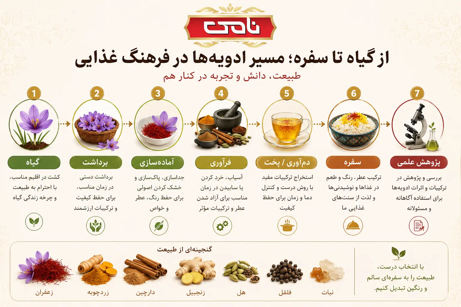 اینفوگرافی از گیاه تا سفره
