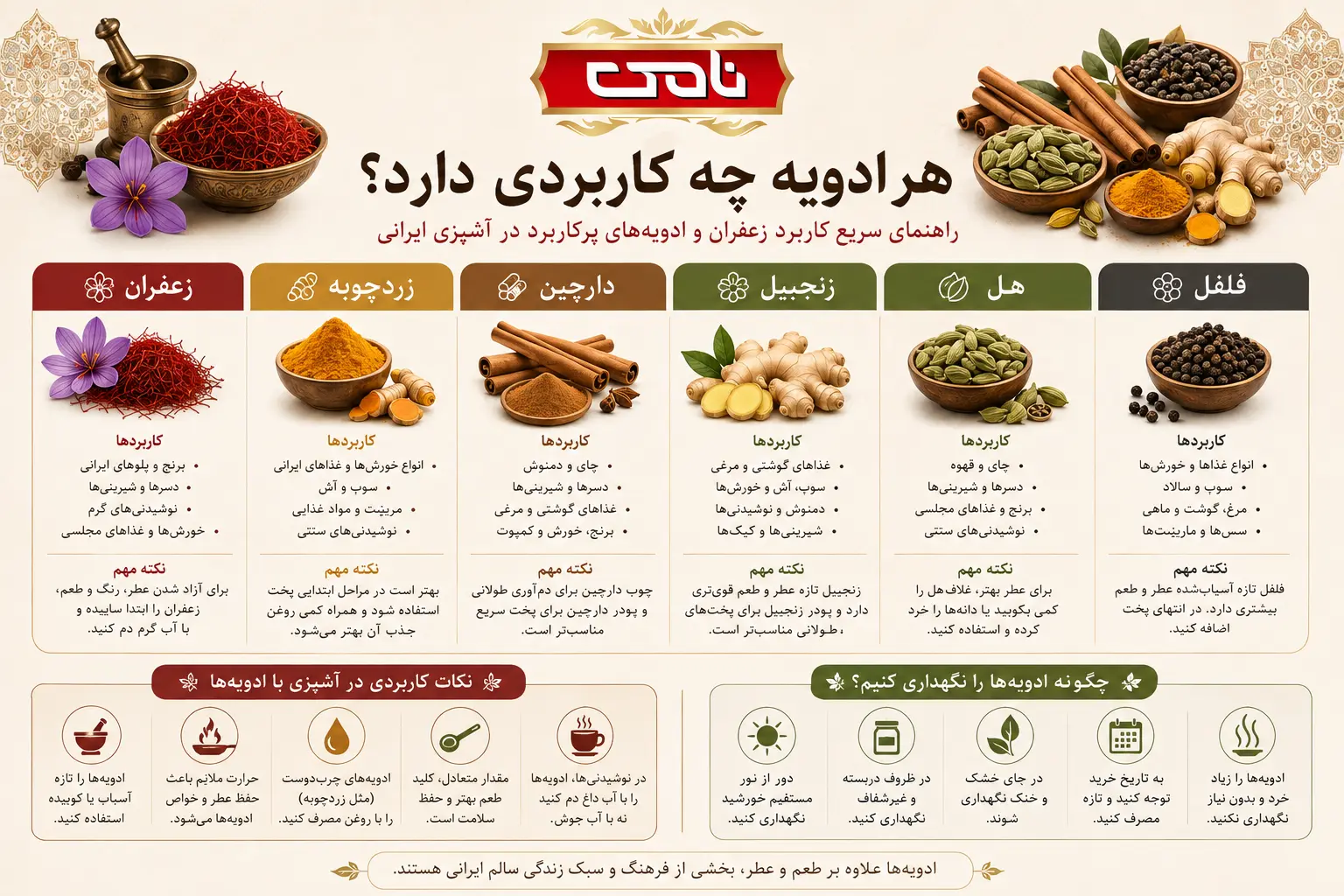 اینفوگرافی هر ادویه چه کاربردی دارد