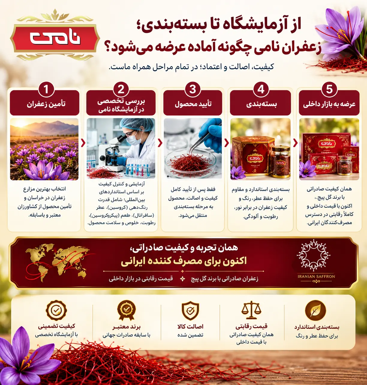 اینفوگرافی آزمایشگاه تا بسته بندی محصولات نامی