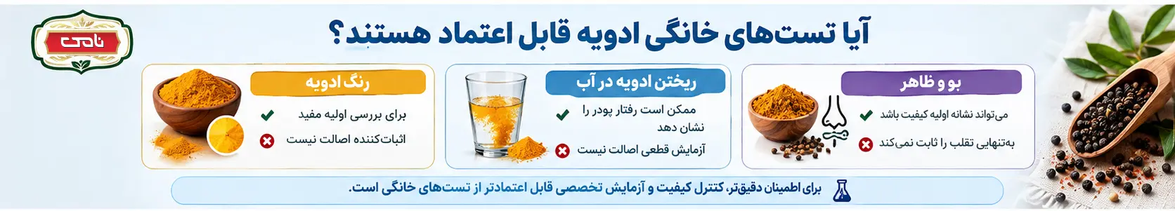 اینفوگرافی تست خانگی ادویه
